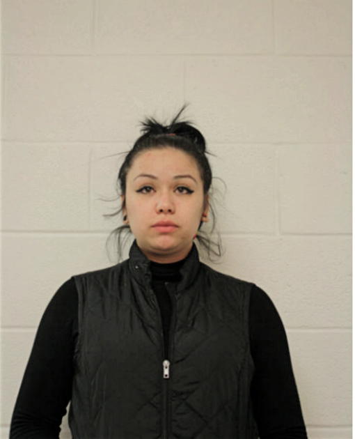 YANIRA C HERNANDEZ, Cook County, Illinois