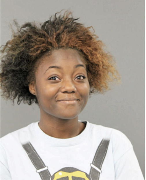 BRITTANY G HOLLOWAY, Cook County, Illinois