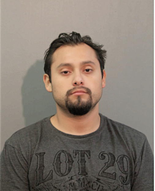 OMAR R HURTADO, Cook County, Illinois