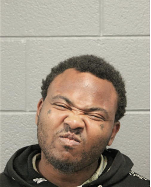 TIMOTHY L JOHNSON, Cook County, Illinois
