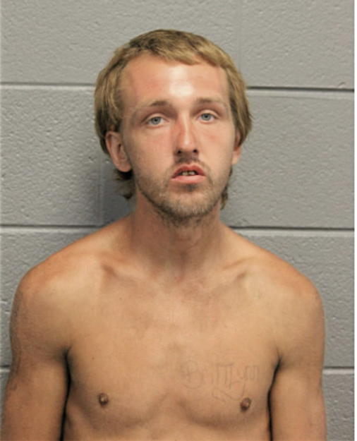 STEVEN A LEESON, Cook County, Illinois