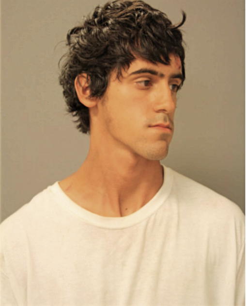 ABELARDO MARTINEZ, Cook County, Illinois