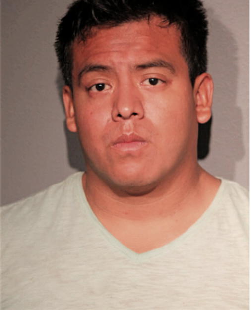 DIEGO MARTINEZ, Cook County, Illinois