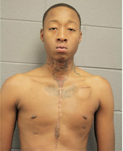 AARON A MCGAHA, Cook County, Illinois