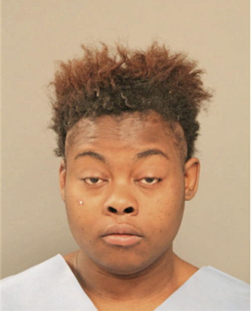 ERICKA S MCKINNEY, Cook County, Illinois