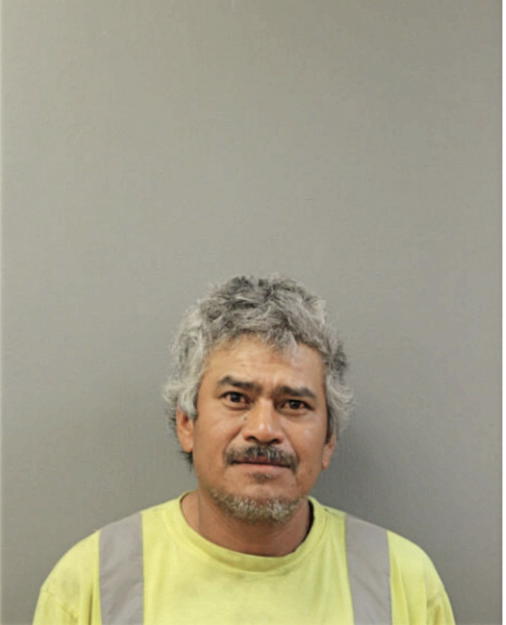 PATRICIO MONGOY, Cook County, Illinois
