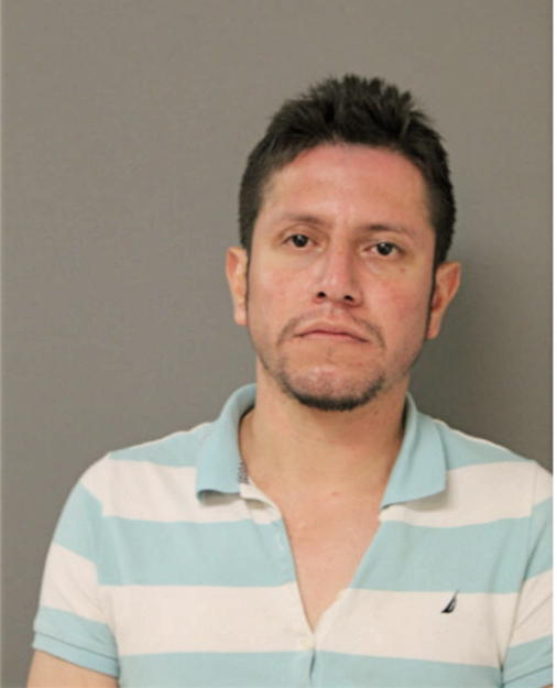 LUIS J PATINO, Cook County, Illinois