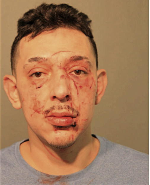 ISRAEL R GONZALEZ, Cook County, Illinois
