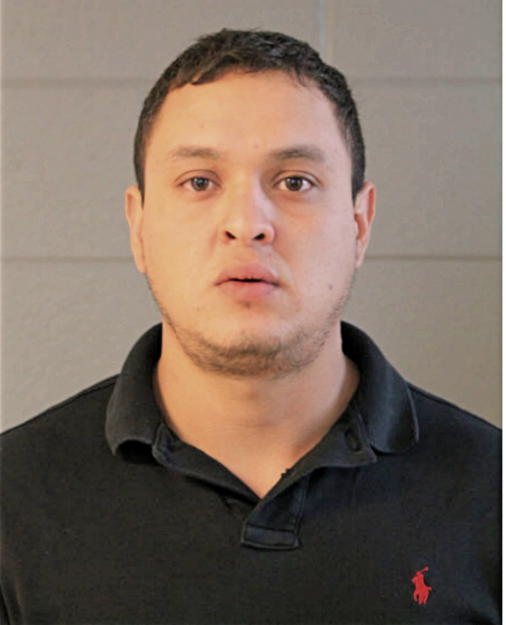APOLINAR SERNA, Cook County, Illinois