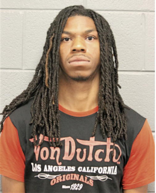 AARON J SNEED, Cook County, Illinois
