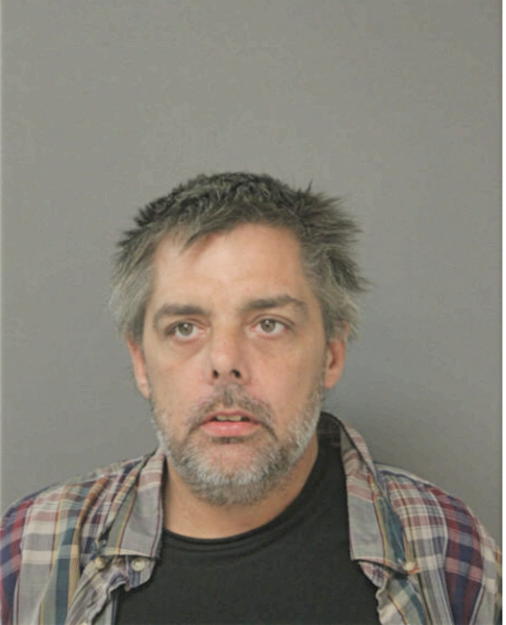 GREGORY G VIK, Cook County, Illinois