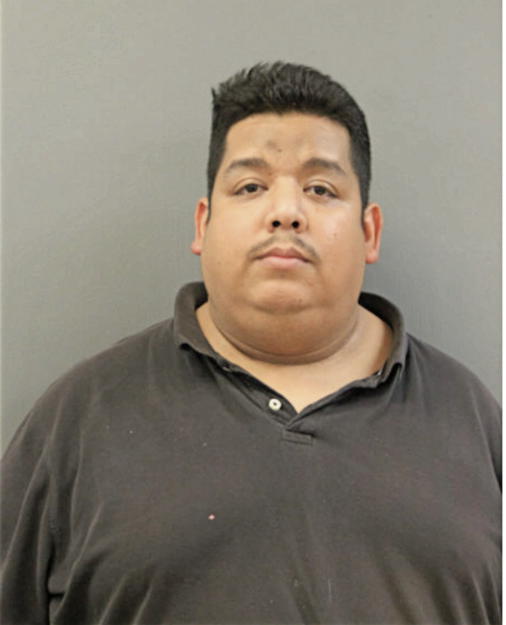 LINO VILLAFANA, Cook County, Illinois