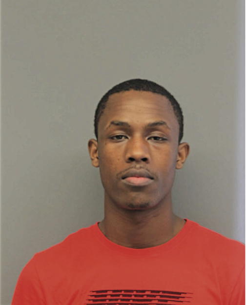 MATTHEW T WATKINS, Cook County, Illinois