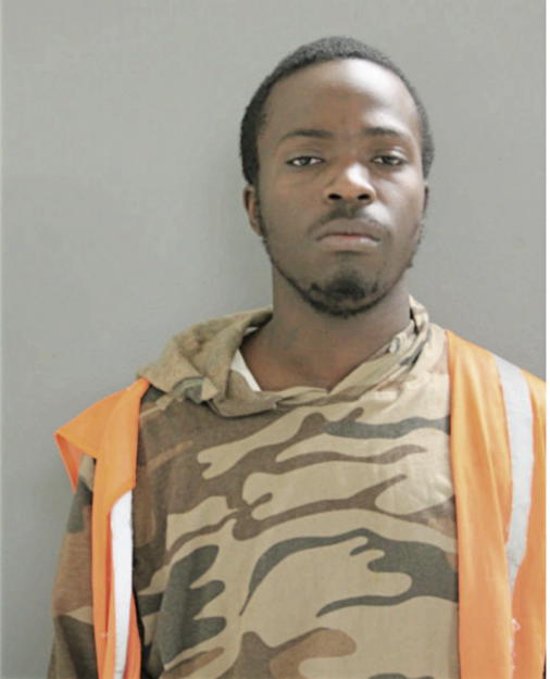 SHANNON A WILKINS, Cook County, Illinois
