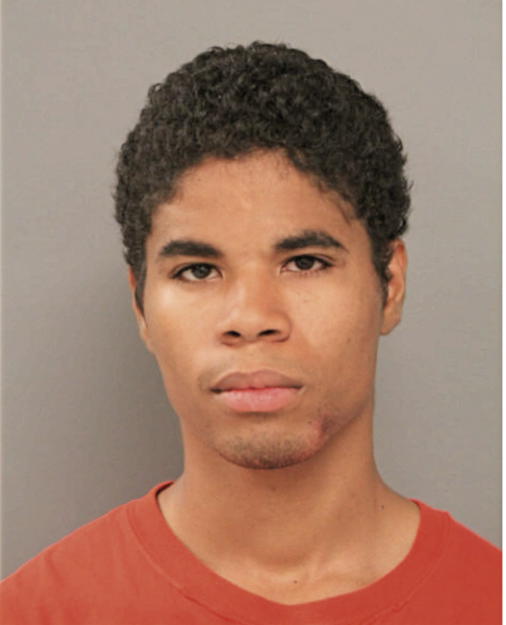 HENRY J WILLIAMS, Cook County, Illinois