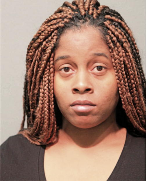 SANDRA F YOUNG, Cook County, Illinois
