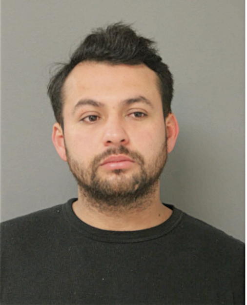 PABLO A ZECENA-RAMIREZ, Cook County, Illinois