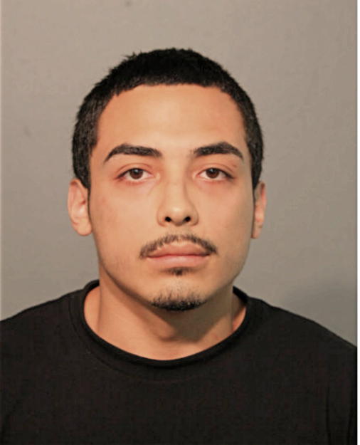 DAMEON APONTE, Cook County, Illinois