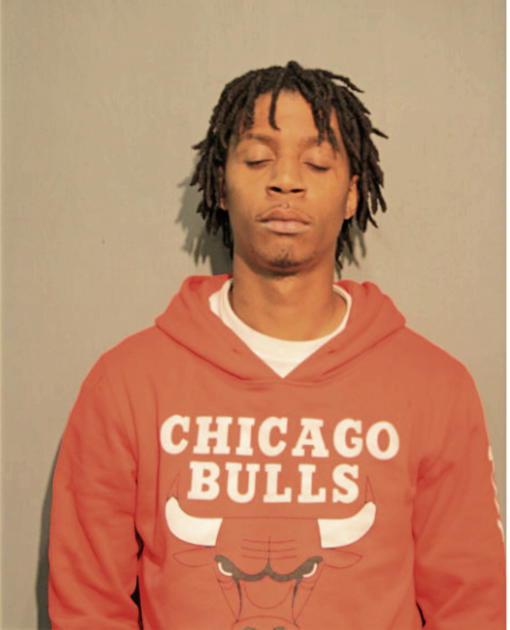 VINCENT J BARNES, Cook County, Illinois