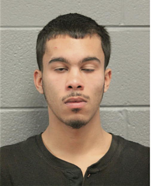 STEVEN L BERMUDEZ, Cook County, Illinois