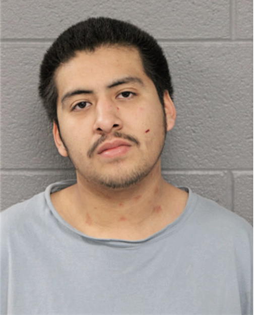 JOEL CALDERON, Cook County, Illinois