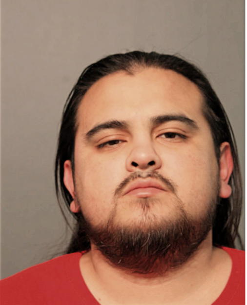 ROBERT T DEZORT, Cook County, Illinois