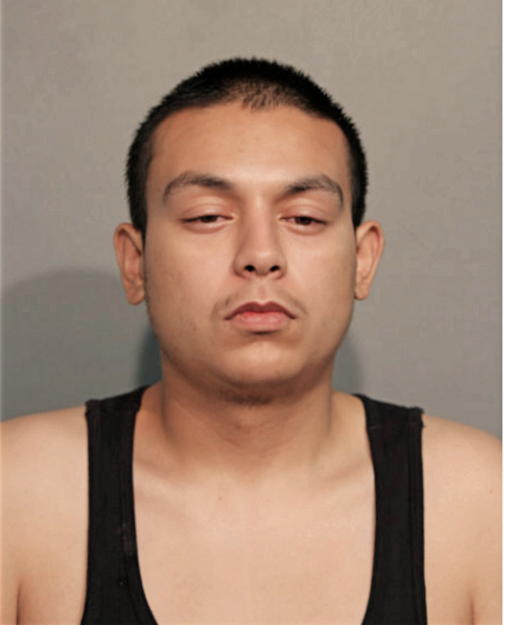 CALIXTO J ESCOBAR, Cook County, Illinois