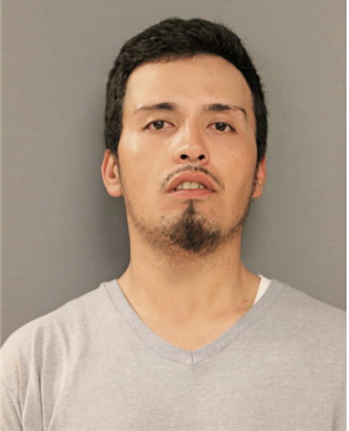 ALEJANDRO X FLORES, Cook County, Illinois