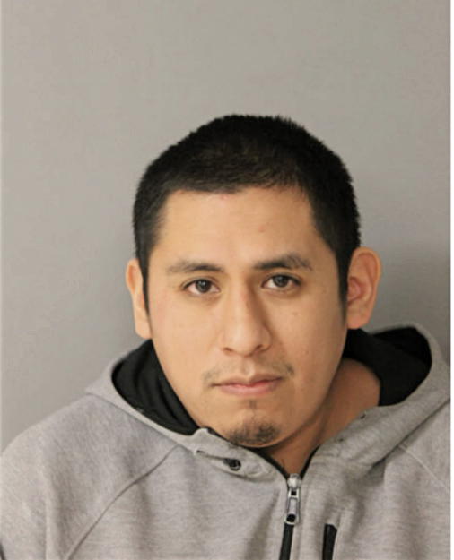 HECTOR GONZAGA, Cook County, Illinois