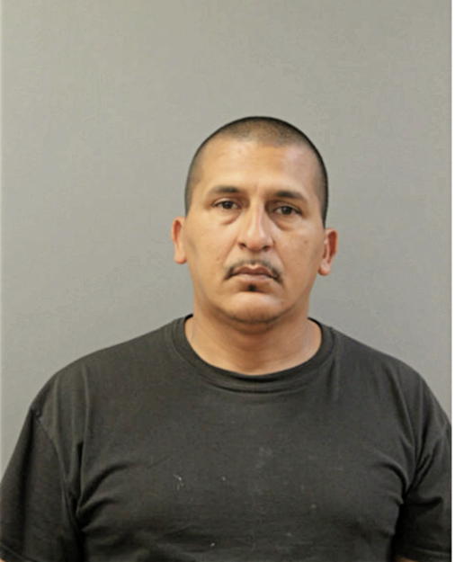 ALEXANDER CRUZ GONZALEZ, Cook County, Illinois