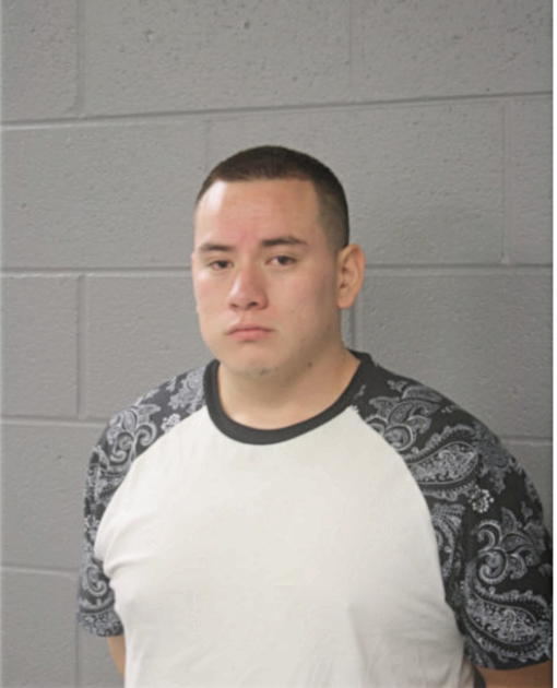 SERGIO GONZALEZ, Cook County, Illinois