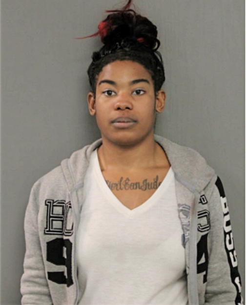 DEBRA K HARDY, Cook County, Illinois