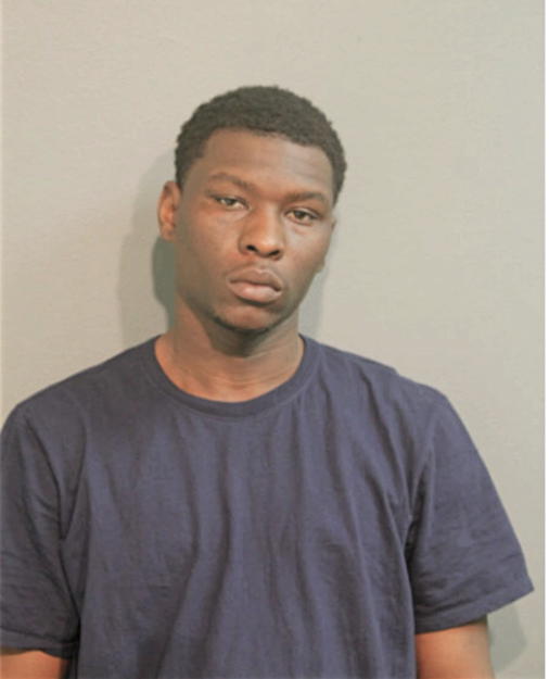 DAVID J ALLEN, Cook County, Illinois