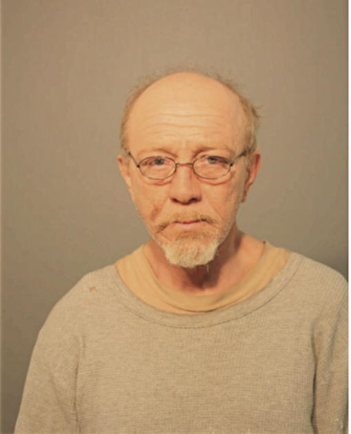 BRUCE A JOHNSON, Cook County, Illinois