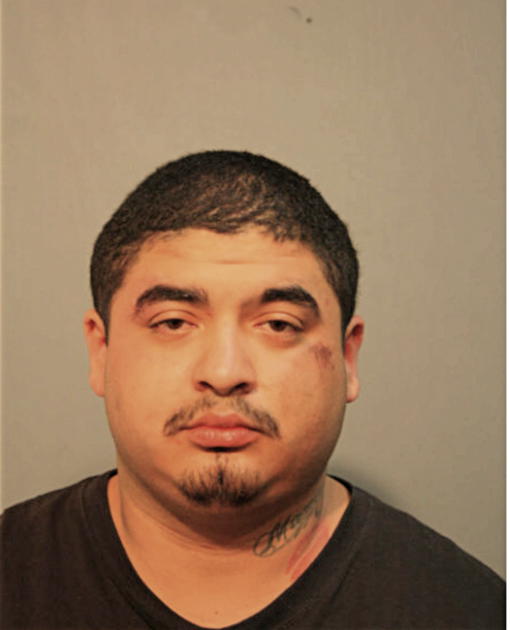 NICHOLAS M ORTEGA, Cook County, Illinois