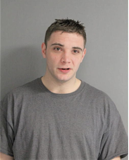 SLOBODAN PESOVIC, Cook County, Illinois