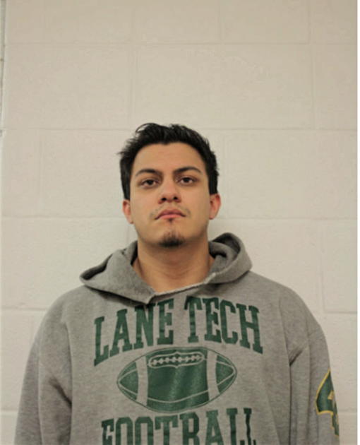 MATTHEW E POZO, Cook County, Illinois