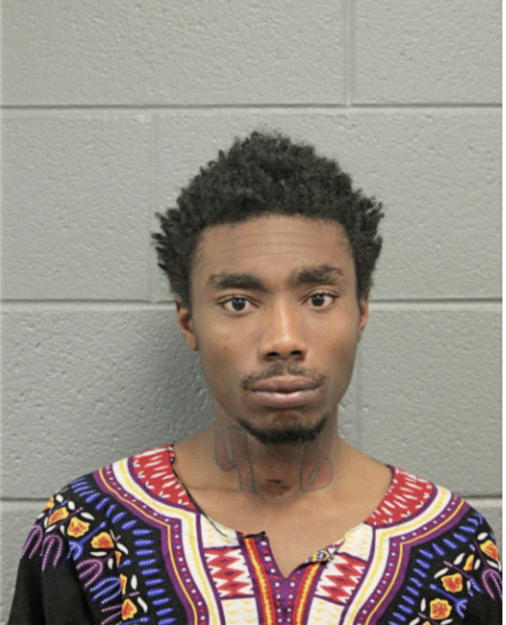 MAURICE L ROBINSON, Cook County, Illinois