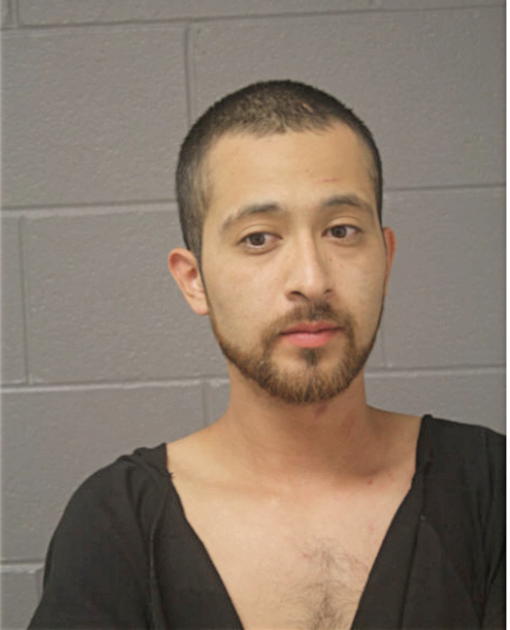 ADRIAN SALAS, Cook County, Illinois