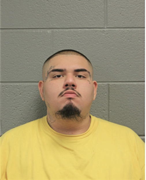 MIGUEL A SALAS, Cook County, Illinois