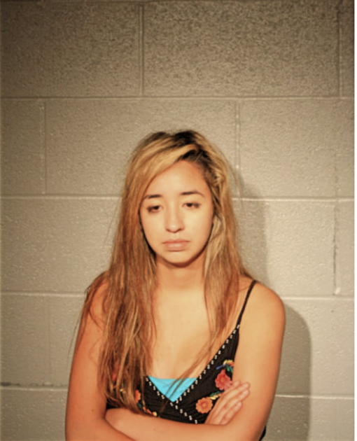 DIANA SANCHEZ, Cook County, Illinois