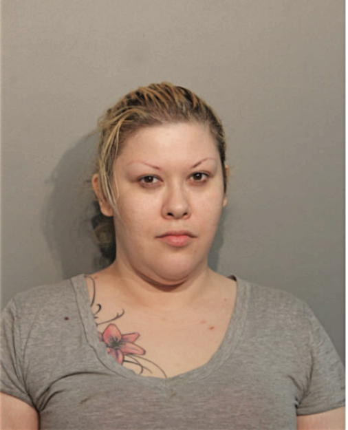 SUSIE A SCHMIDT, Cook County, Illinois