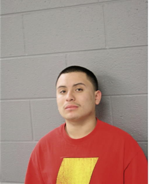 MARIO UGALDE, Cook County, Illinois