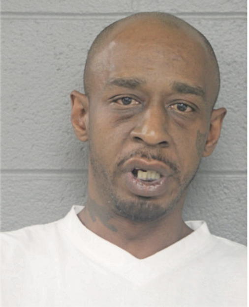 MICHAEL L BLUE, Cook County, Illinois