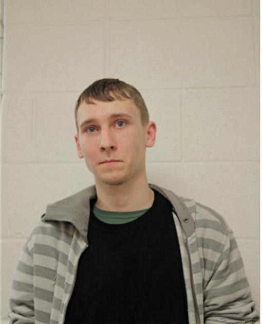 ANDREW P BUJDASZ, Cook County, Illinois