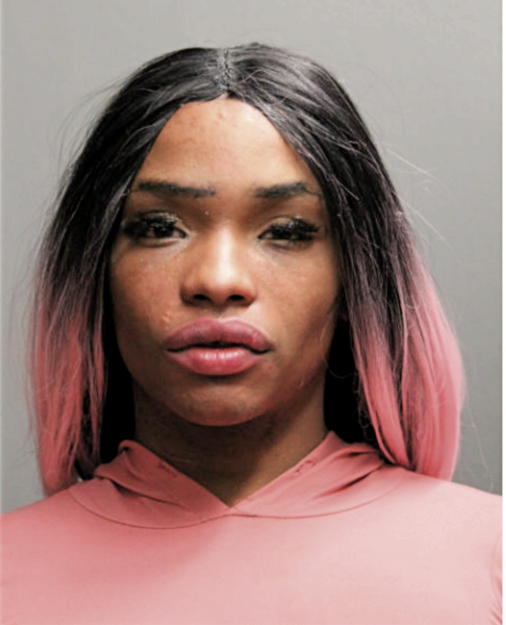 MICHELLE E CAIN, Cook County, Illinois
