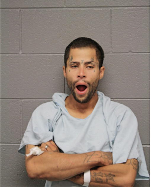 GABRIEL COLON, Cook County, Illinois