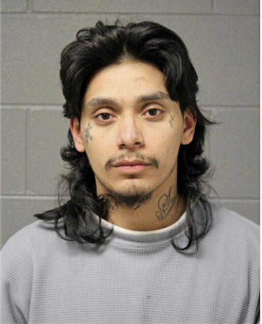 ISRAEL DIAZ, Cook County, Illinois