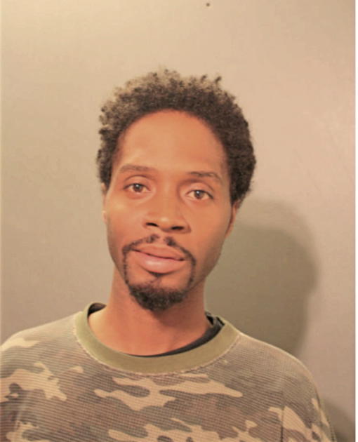 TYWAN M FERDINAND, Cook County, Illinois