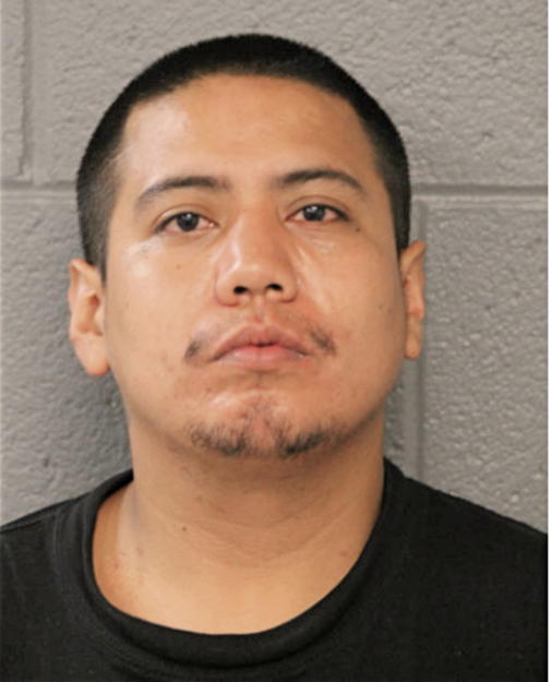 RICARDO GONZALEZ, Cook County, Illinois